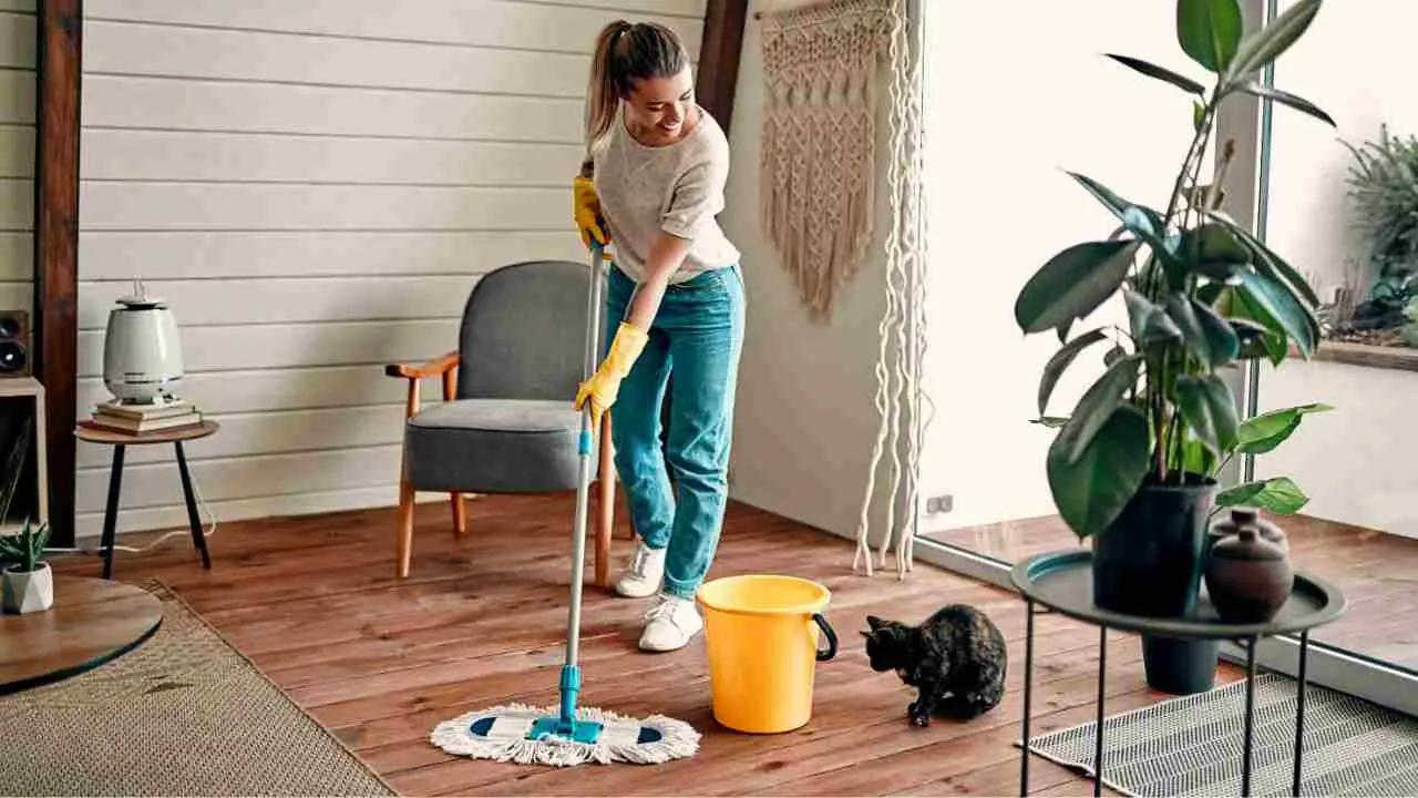 Podrías estar limpiando demasiado la casa: este es el calendario real que recomiendan los expertos