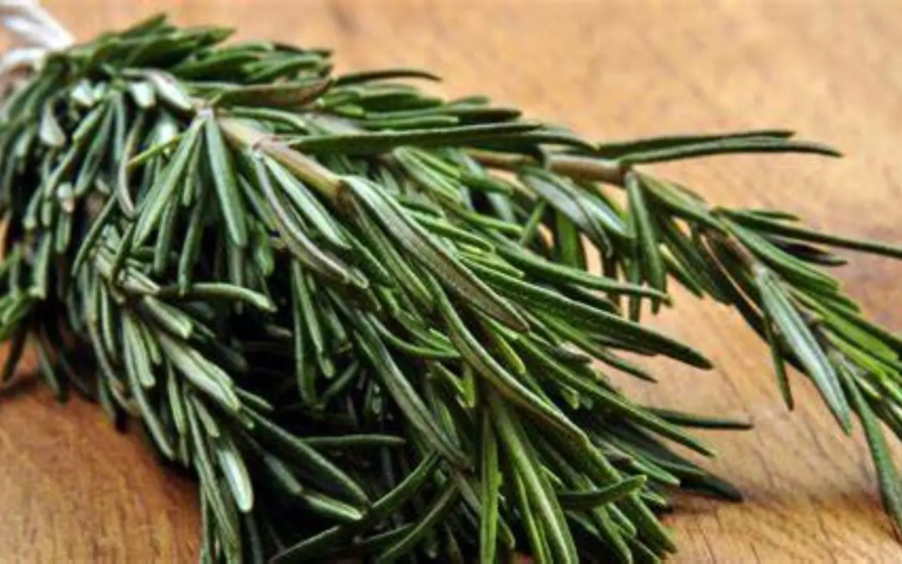 No guardes tu huerto en invierno: estas hierbas crecen incluso con frío y te sorprenderán